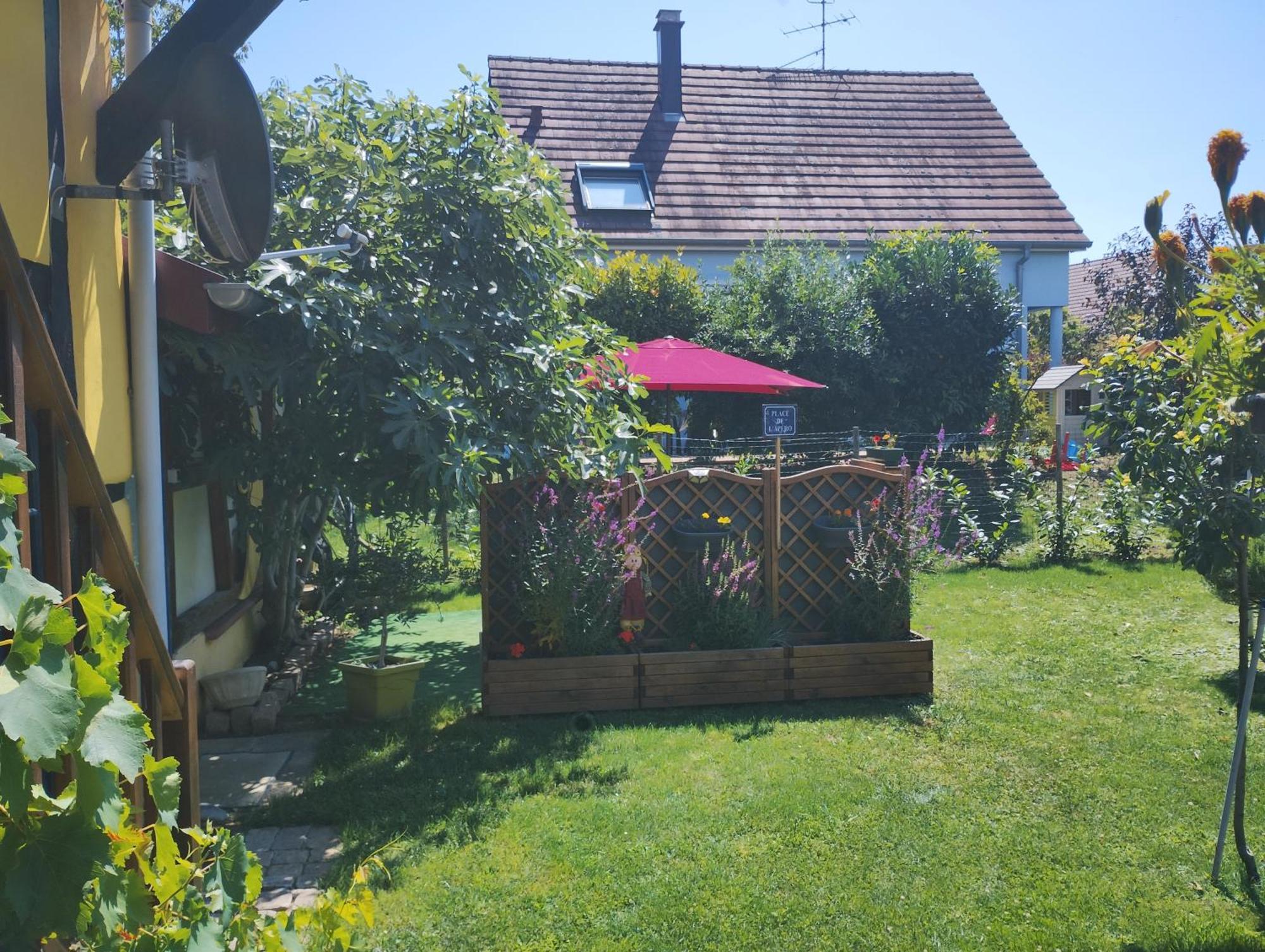 Gite Alsace Appenwihr Eksteriør billede